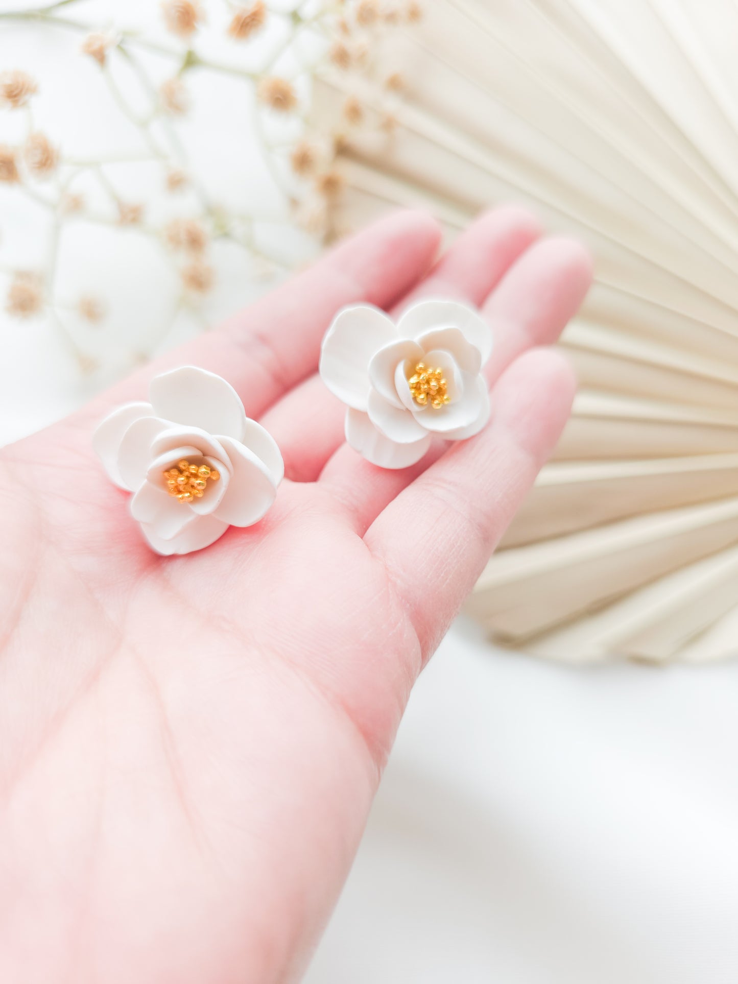 Faith's Blossom stud